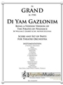 Di Yam Gazlonim