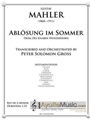 Abloesung im Sommer