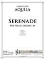 Serenade for Strings