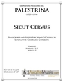 Sicut Cervus