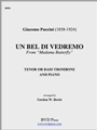 Un Bel Di Vedremo