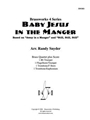 Baby Jesus in the Manger