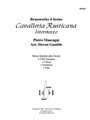 Cavalleria Rusticana - Intermezzo
