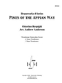Pines of the Appian Way