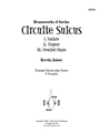 Circuite Suicus