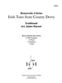 Irish Tune from County Derry
