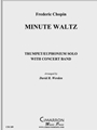 Minute Waltz