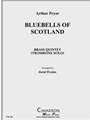 Bluebells of Scotland