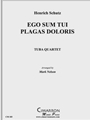 Ego Sum Tui Plagas Doloris