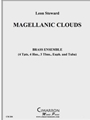 Magellanic Clouds