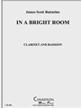In a Bright Room