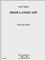 Irish Landscape