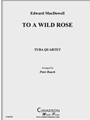 To A Wild Rose