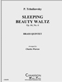 Sleeping Beauty Waltz, Op. 66 No. 6