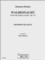 Waldesnacht