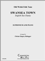Swansea Town