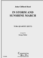 In Storm and Sunshine