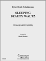 Sleeping Beauty Waltz