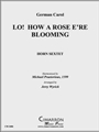 Lo! How a Rose E're Blooming