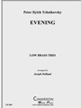 Evening