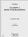 Lo, How a Rose E'er Blooming