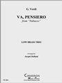 Va, Pensiero