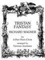 Tristan Fantasy