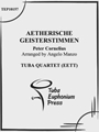 Aetherische Geisterstimmen