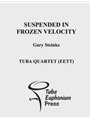 Suspended in Frozen Velocity
