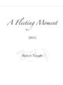 A Fleeting Moment