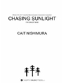 Chasing Sunlight