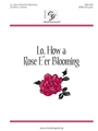Lo How a Rose E'er Blooming