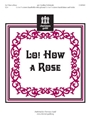 Lo How A Rose