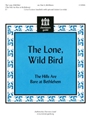 Lone Wild Bird