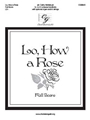 Lo, How a Rose