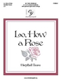 Lo, How a Rose