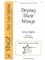 Drying Their Wings