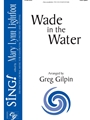 Wade in the Water