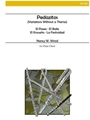 Pedazitos (variations Without A Name)