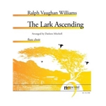 The Lark Ascending for Flute Choir