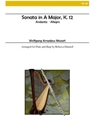 Sonata In A Minor  K12