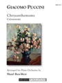 Chrysanthemums