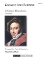 Il Signor Bruschino Overture