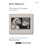 The Swan of Tuonela for Flute Orchestra