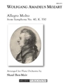 Allegro Molto from Symphony No. 40