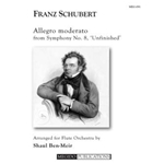 Allegro Moderato from Symphony No. 8 for Flute Orchestra