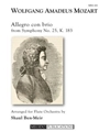 Allegro con brio from Symphony No. 25, K. 183