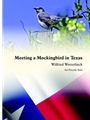 Meeting a Mockingbird in Texas for Piccolo