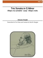 Trio Sonata in G Minor