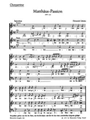 Matthaus-Passion SWV 479
